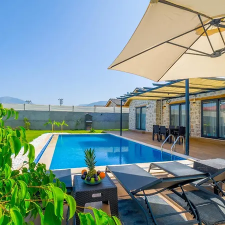Tokyo Villa Fethiye